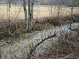 Prüfung der Auswirkungen einer Brücke auf den Hochwasserabfluss des Ruetzingbaches